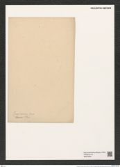 Triceratium concinum Grev. (de-Toni-Nr.: Genus 140, Species 3900) Zeichnungen Sammlung Grunow (NHMW-BOT-W0376454)
